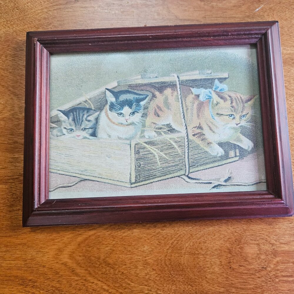 framed vintage print of three kittens in a box early 20th century